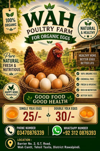 eggs | desi eggs | brown eggs | Organic Eggs | Fresh Organic Eggs