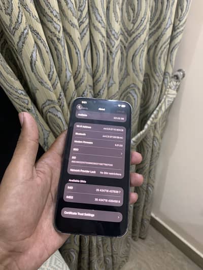 Apple iPhone 13 Pro Max