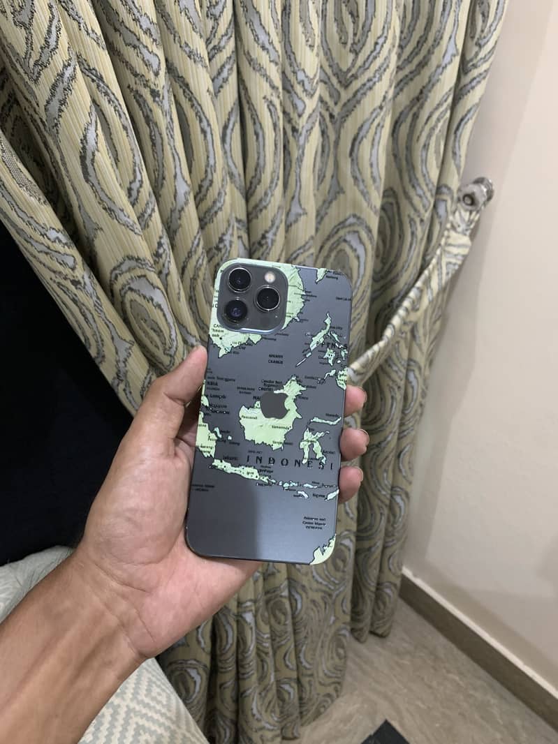 Apple iPhone 13 Pro Max 1