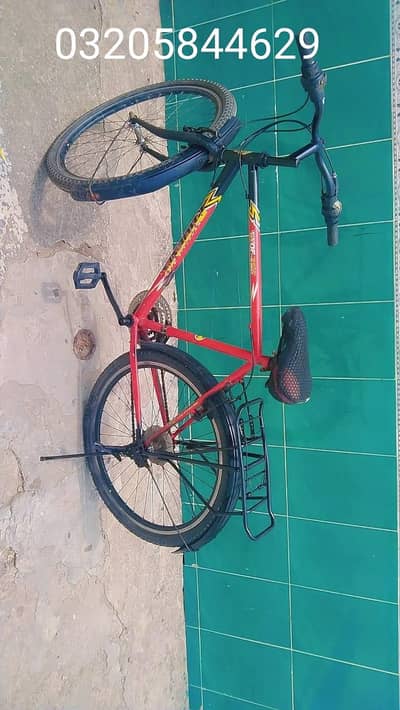 PHOENIX 26" Full Size