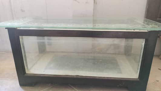 Fish Aquarium