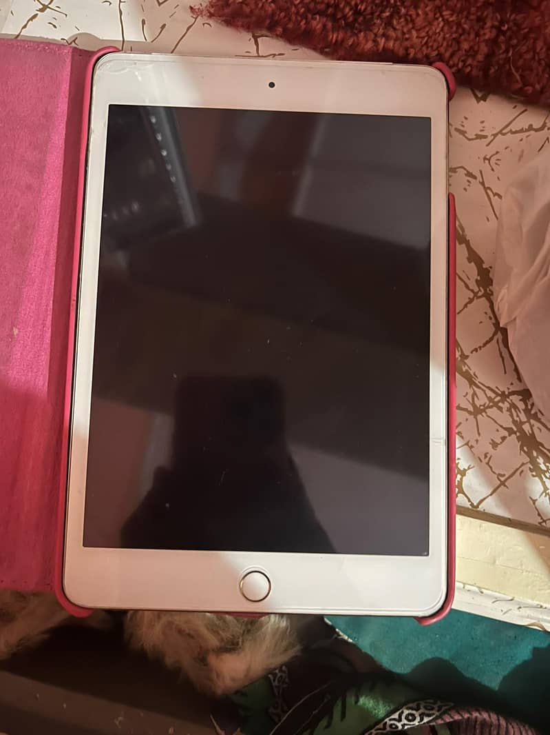 Ipad Mini 4 2