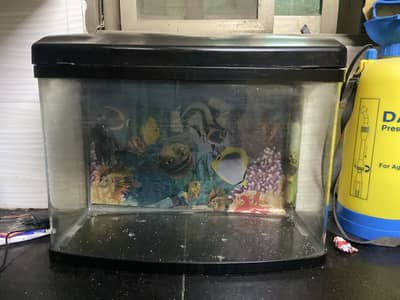 Aquarium with stones