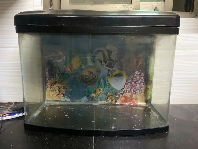 Aquarium with stones — photo 2
