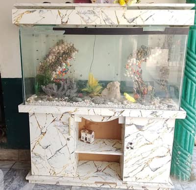 Aquarium