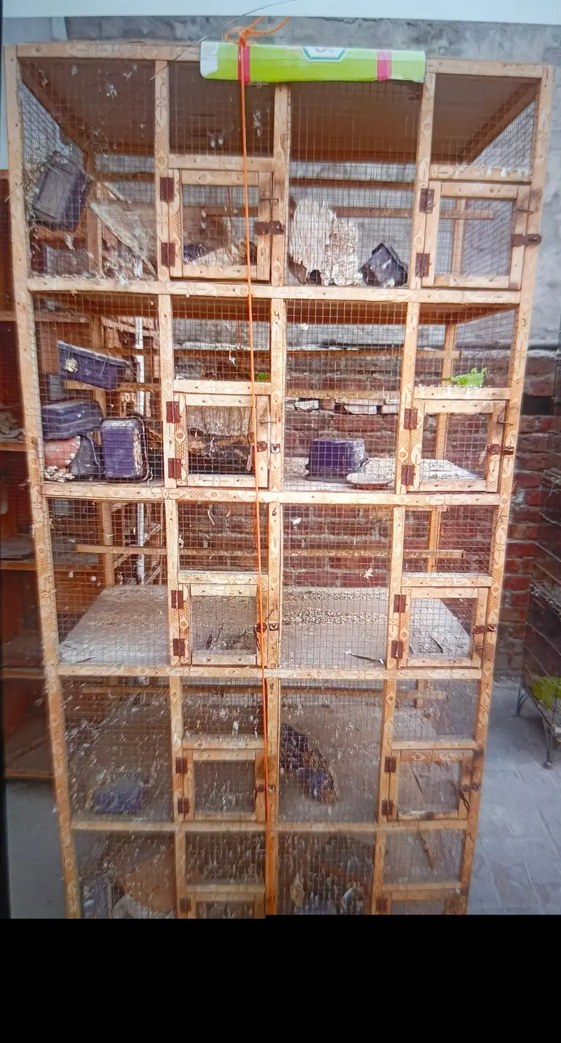 cages for sale — photo 2