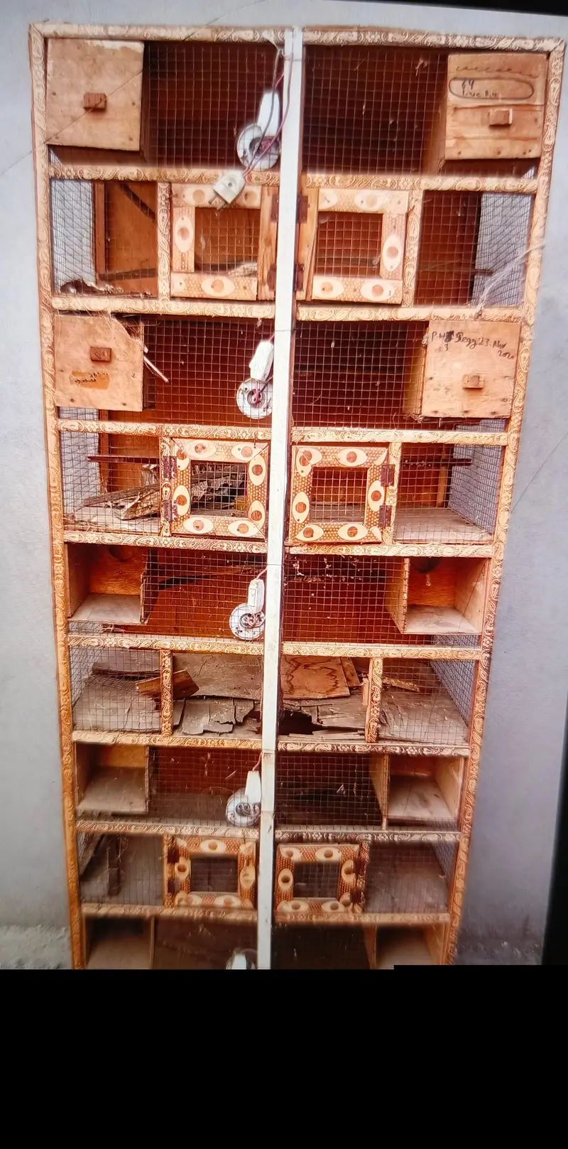cages for sale — photo 3