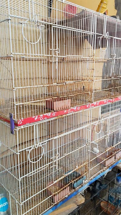 PARROTS CAGES FOR SALE