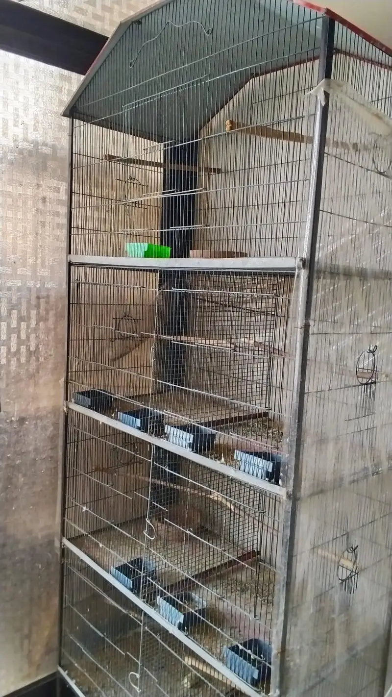 PARROTS CAGES FOR SALE — photo 2