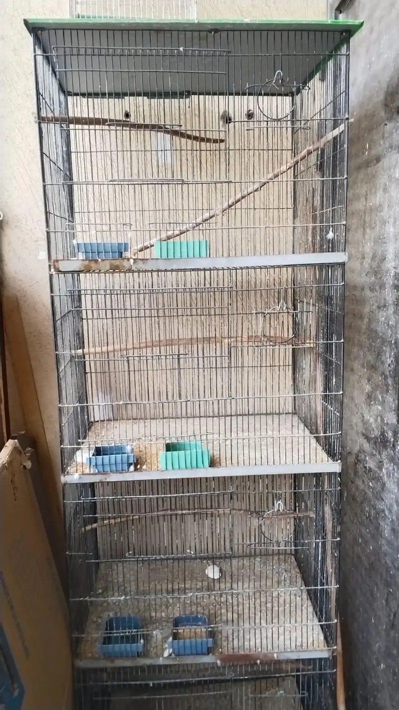 PARROTS CAGES FOR SALE — photo 3