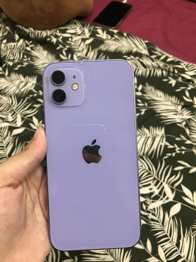 Non pta iPhone 12 128 gb purple Color