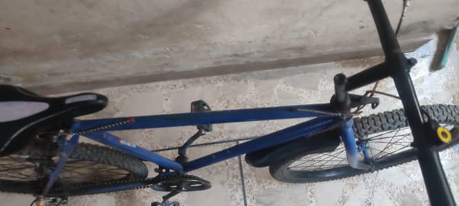 cycle
