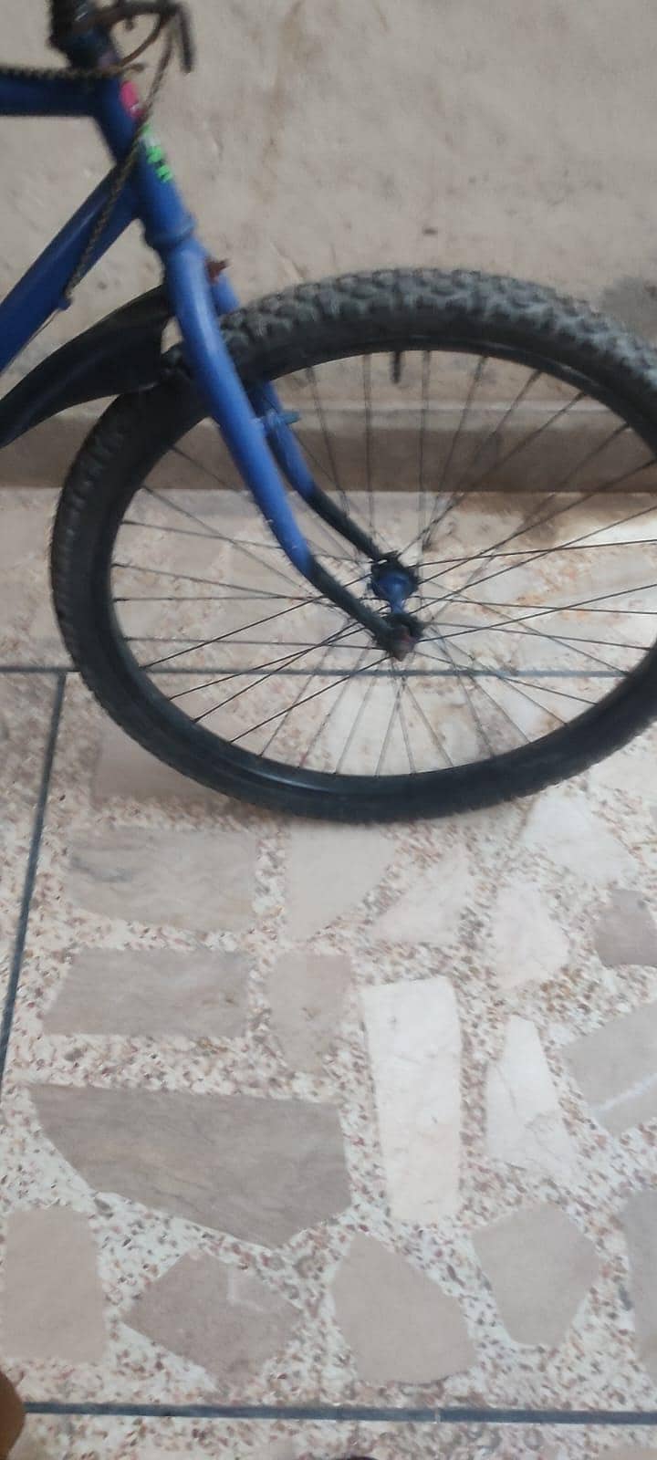 cycle 1