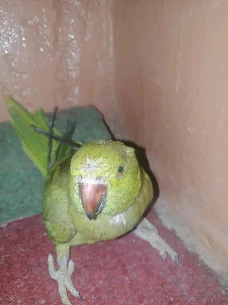 urgent sale location orangi town — photo 4