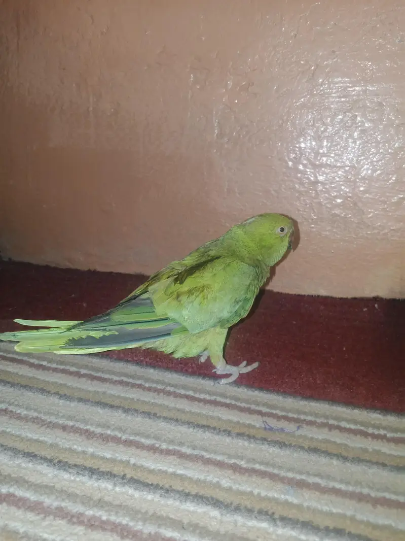 urgent sale location orangi town — photo 5