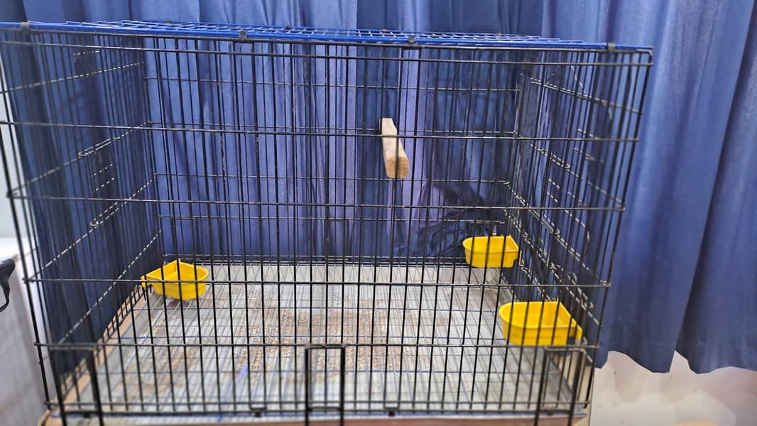 Master Cage 3