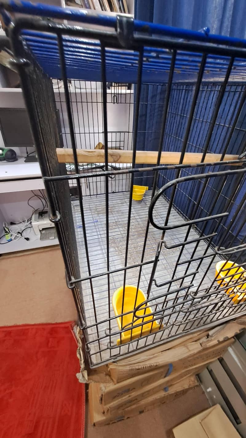 Master Cage 4
