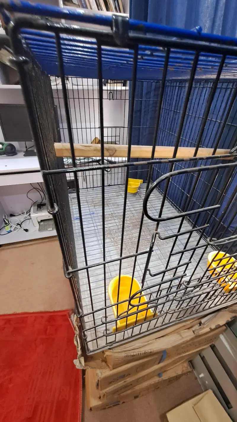Master Cage — photo 5