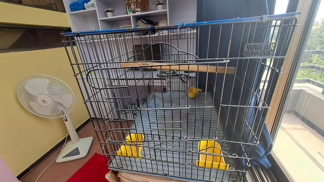 Master Cage — photo 6