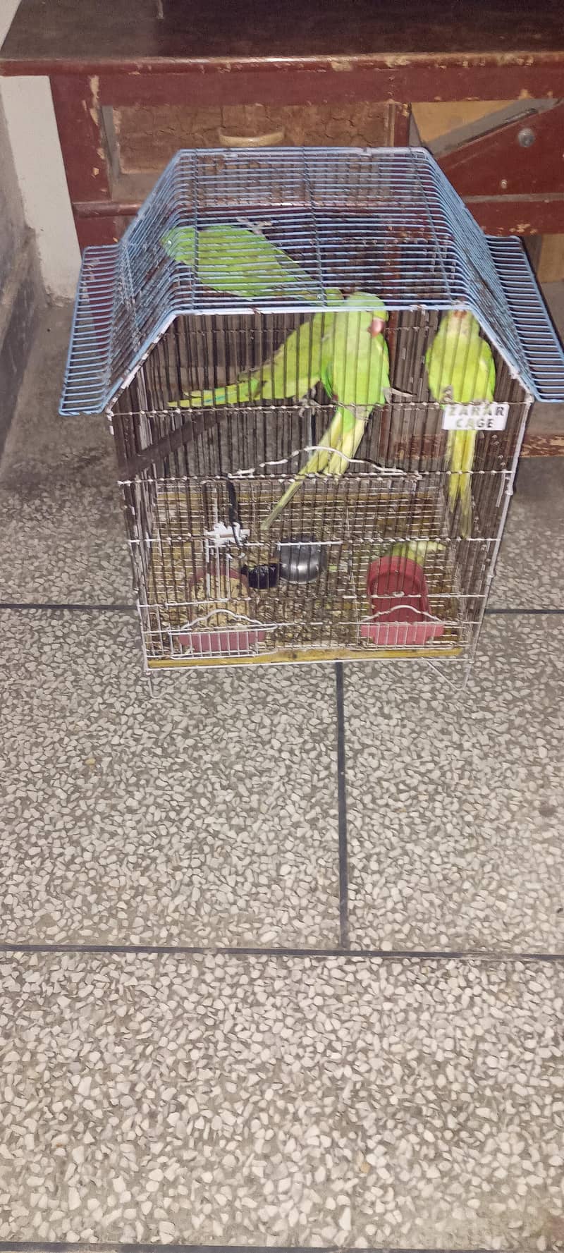 different cages 1