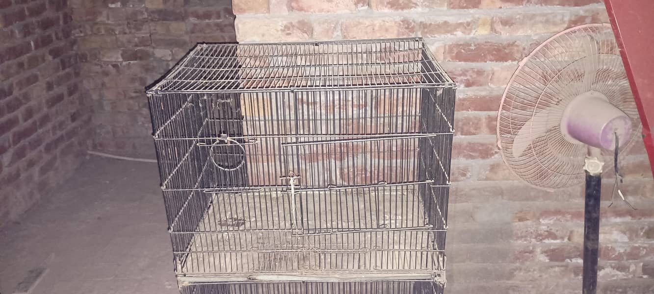 different cages 2
