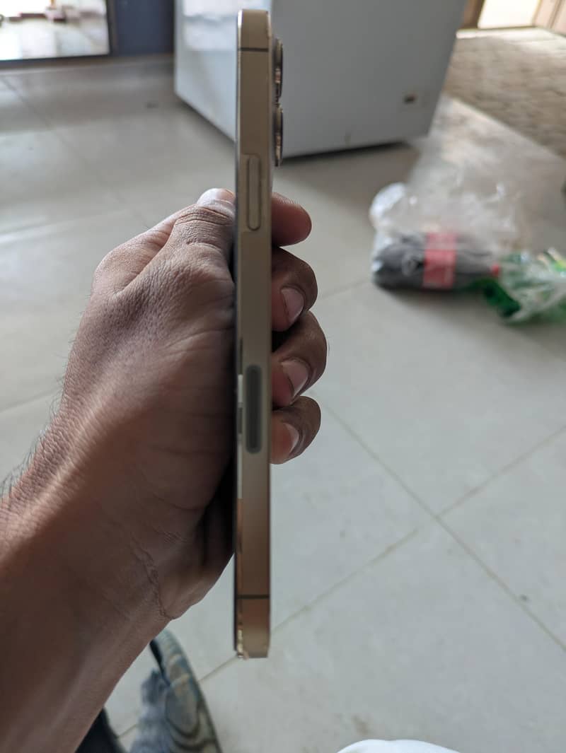 Iphone 13 pro max 4