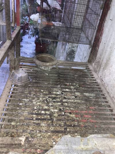 Cage for sale
