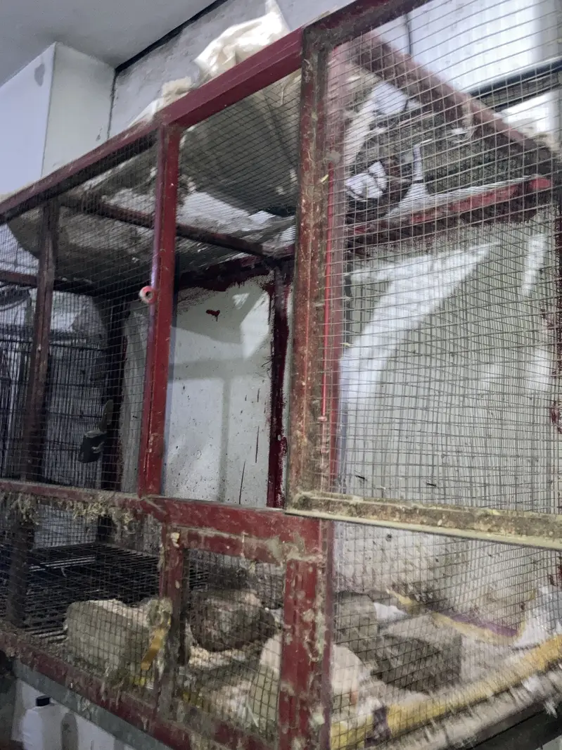 Cage for sale — photo 2