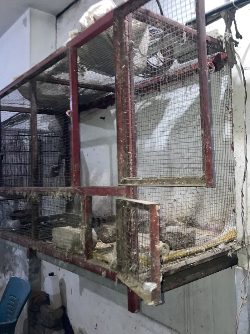 Cage for sale — photo 3