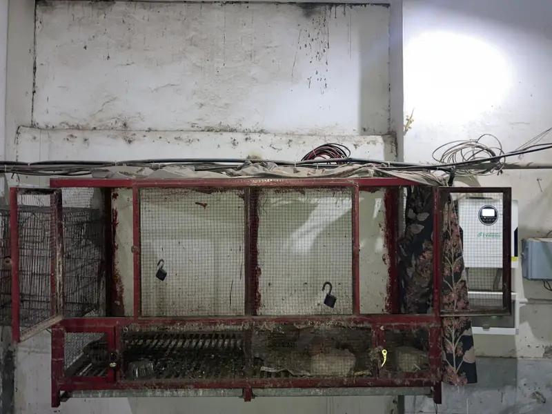 Cage for sale — photo 4