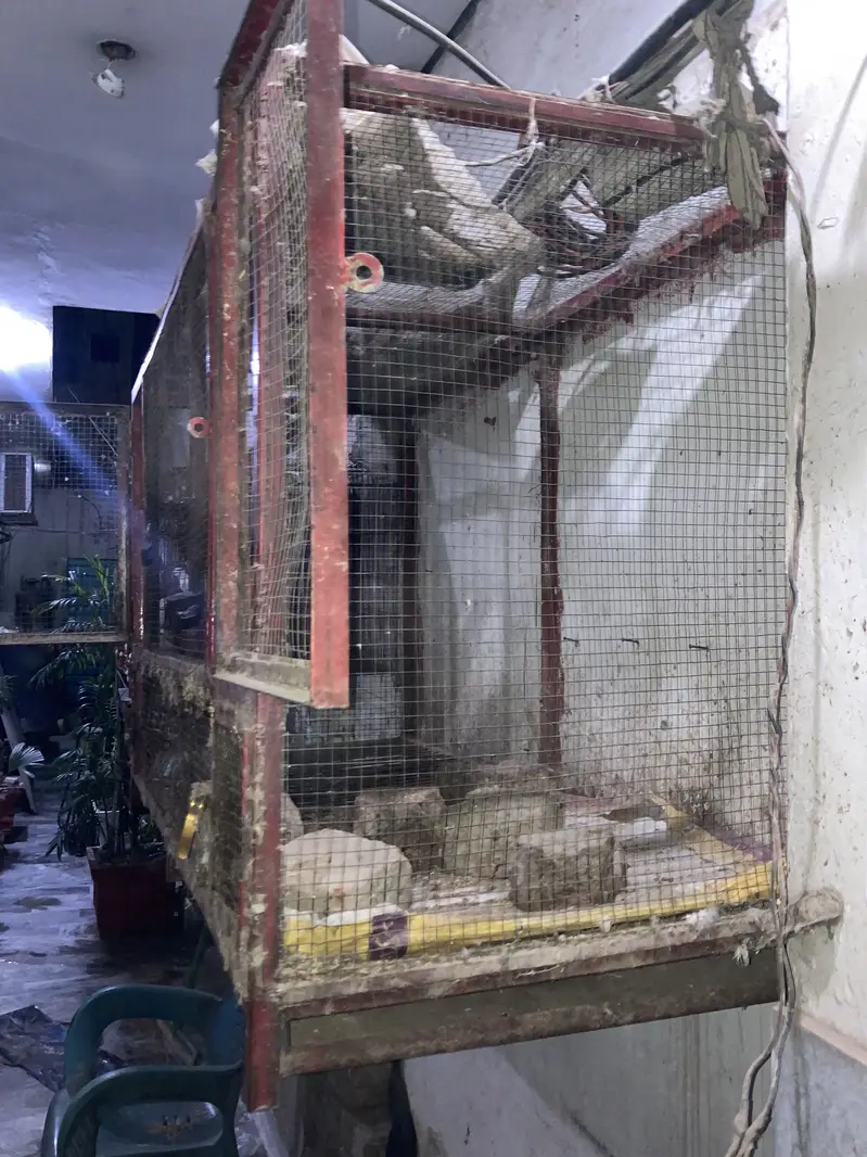 Cage for sale — photo 5