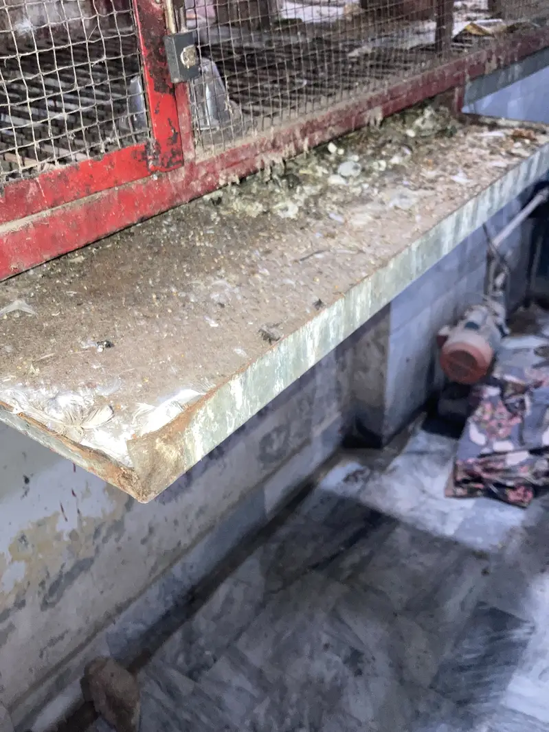Cage for sale — photo 6
