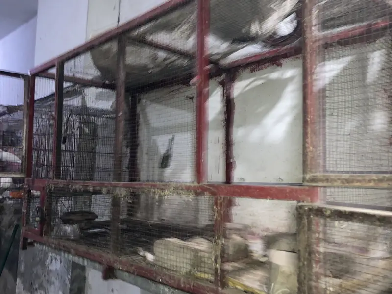 Cage for sale — photo 7