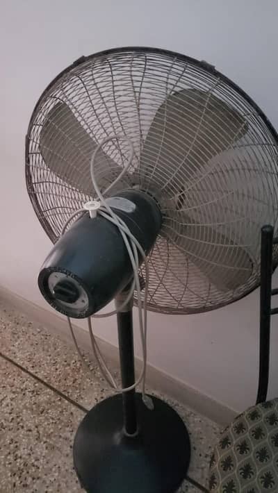 Belvin Pedestal Fan