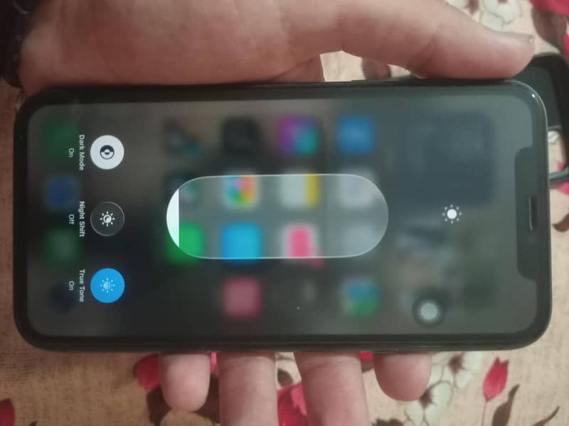 Apple iPhone 11 1