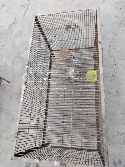 hen and parrot cage
