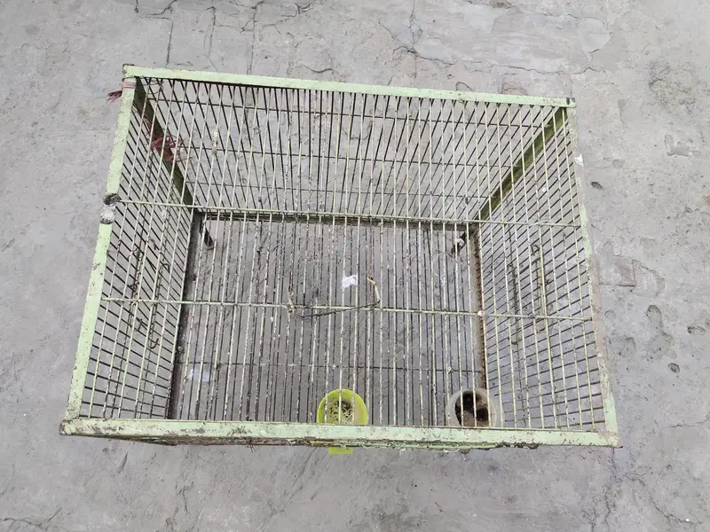 hen and parrot cage — photo 4