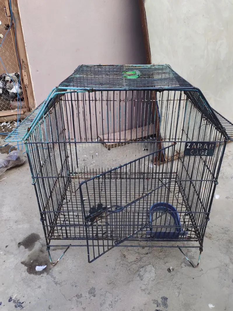 hen and parrot cage — photo 6