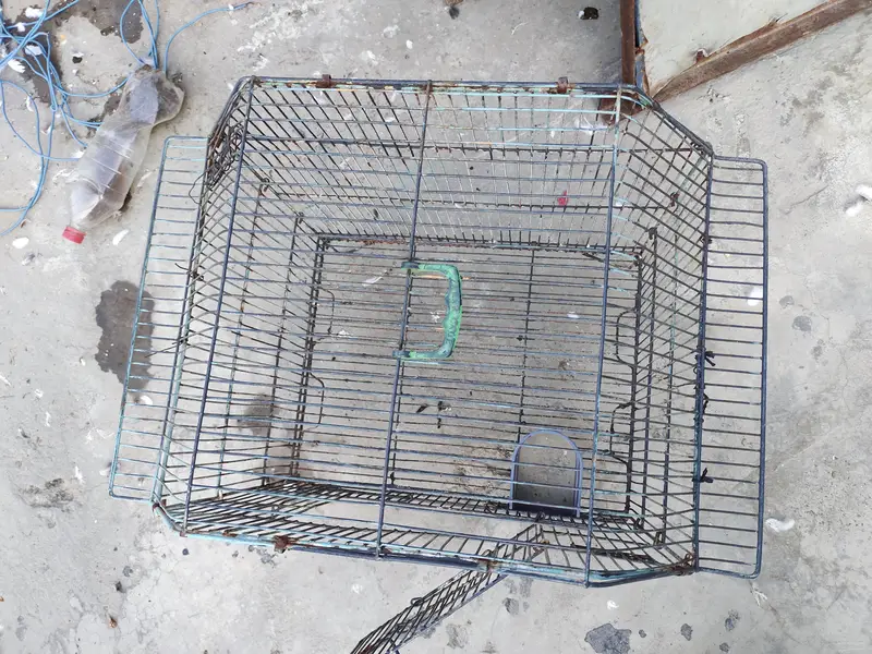 hen and parrot cage — photo 7