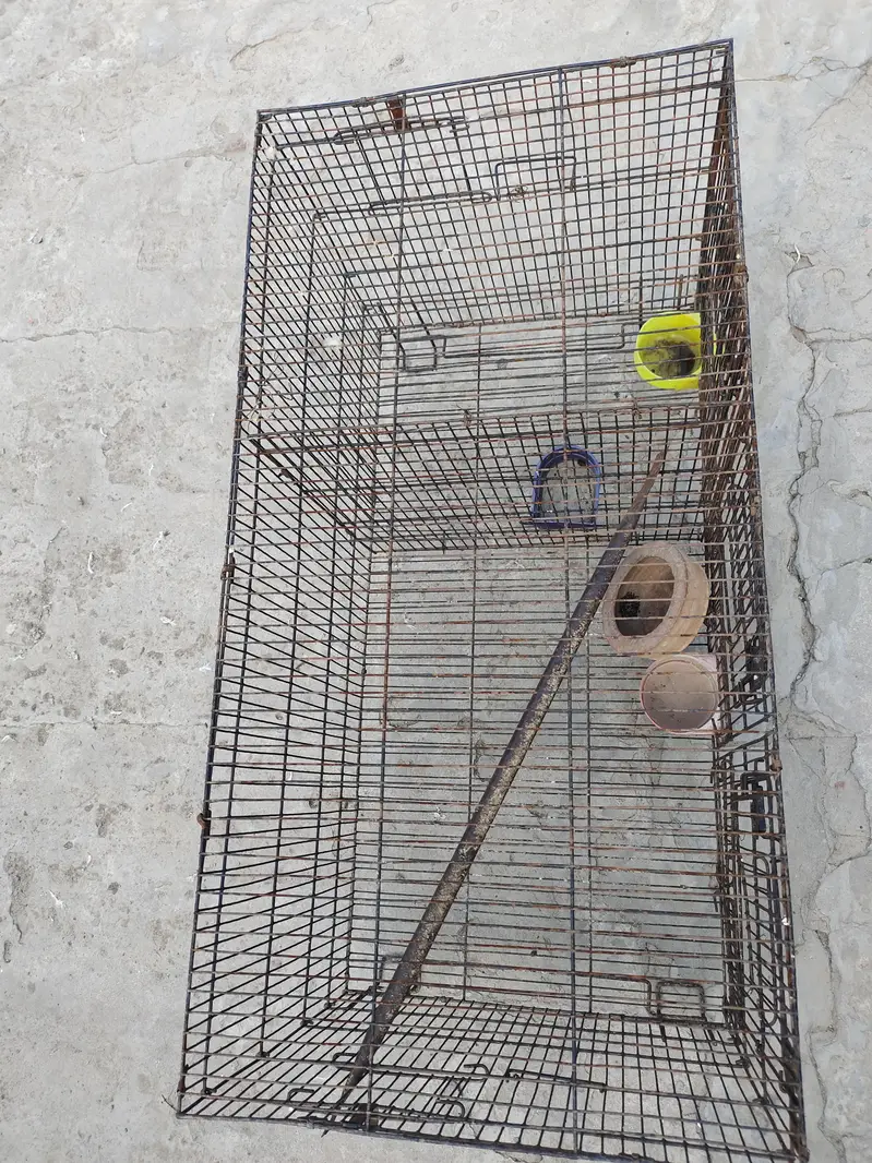 hen and parrot cage — photo 9