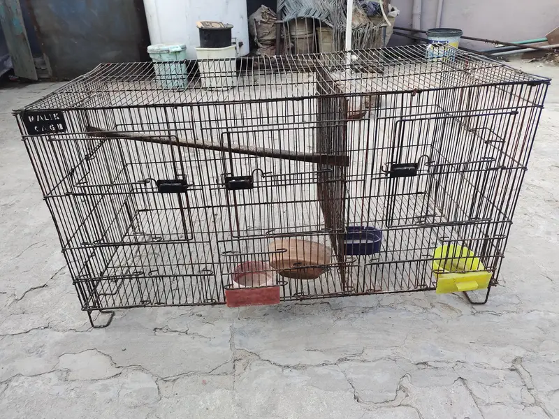 hen and parrot cage — photo 10