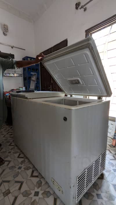 Pel Deep freezer