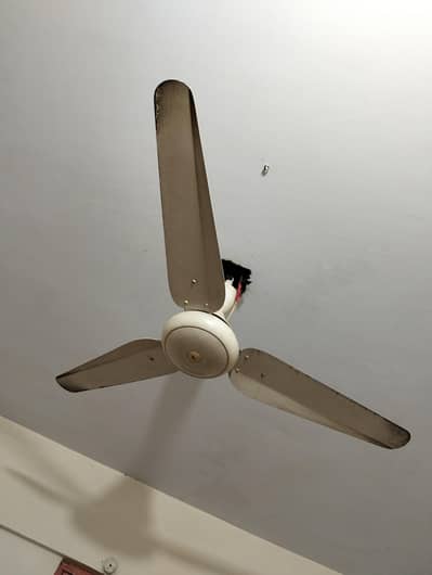 Ac Celling fan