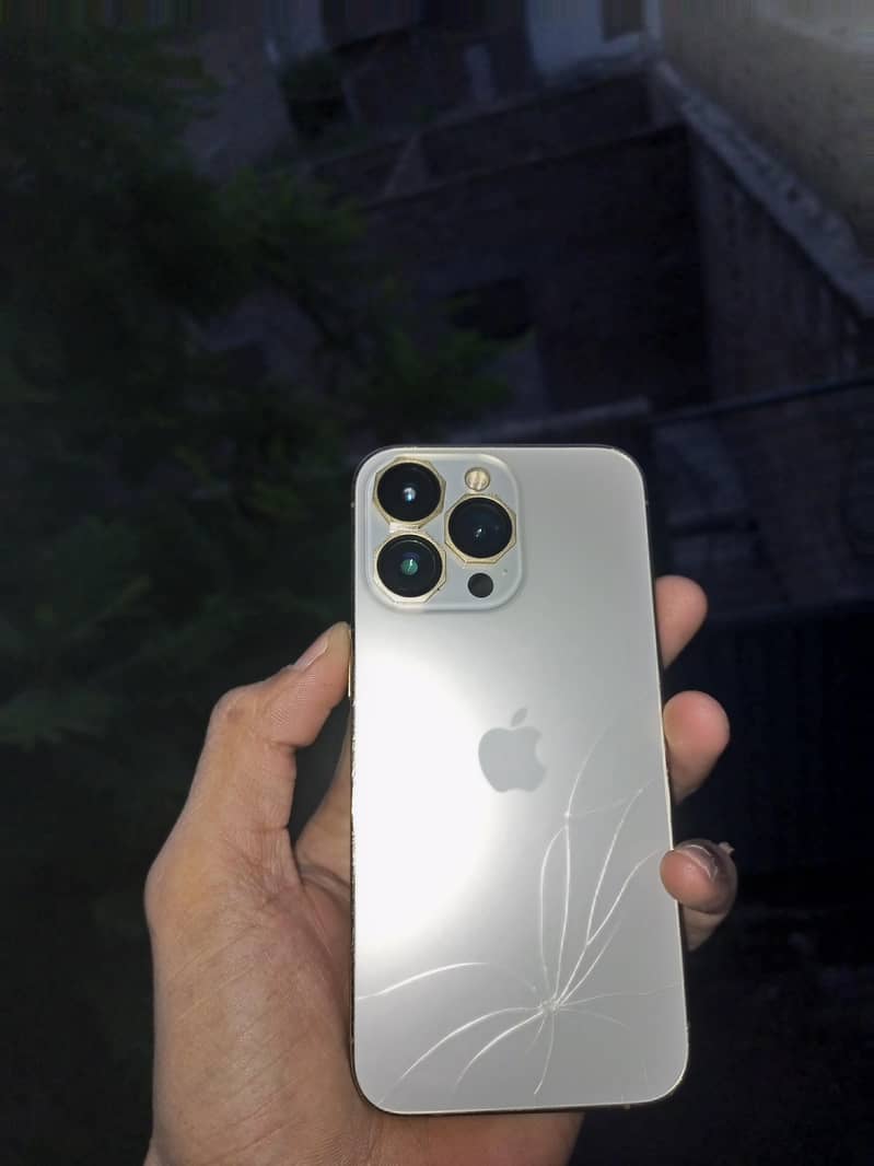 13 pro 2