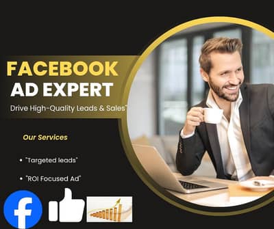 I am a professional face book ad expert