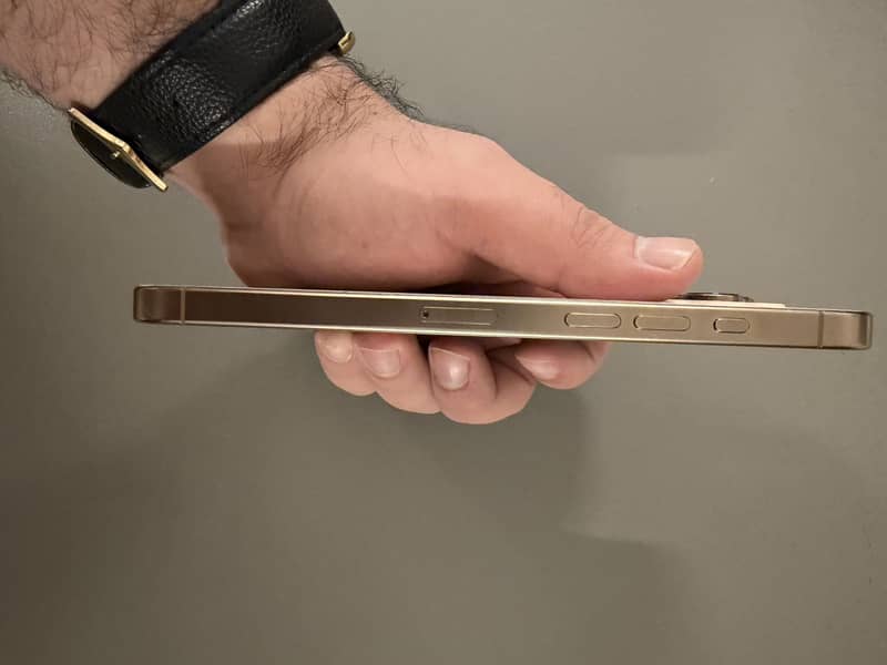 Apple iPhone 16 Pro Max 1