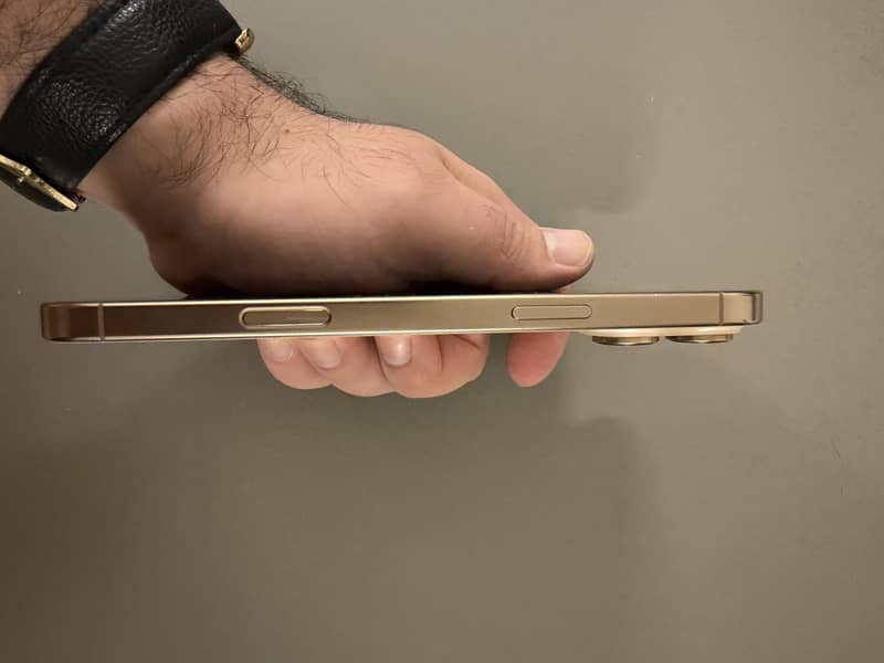 Apple iPhone 16 Pro Max 2