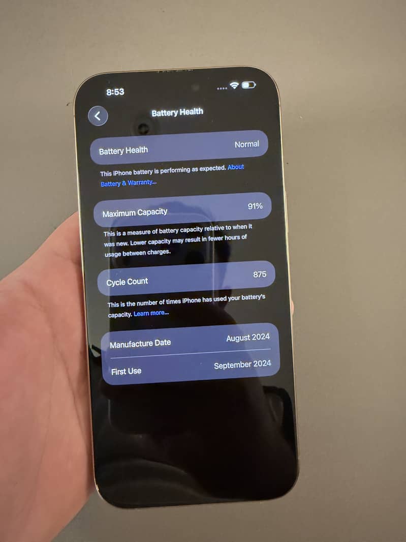 Apple iPhone 16 Pro Max 6