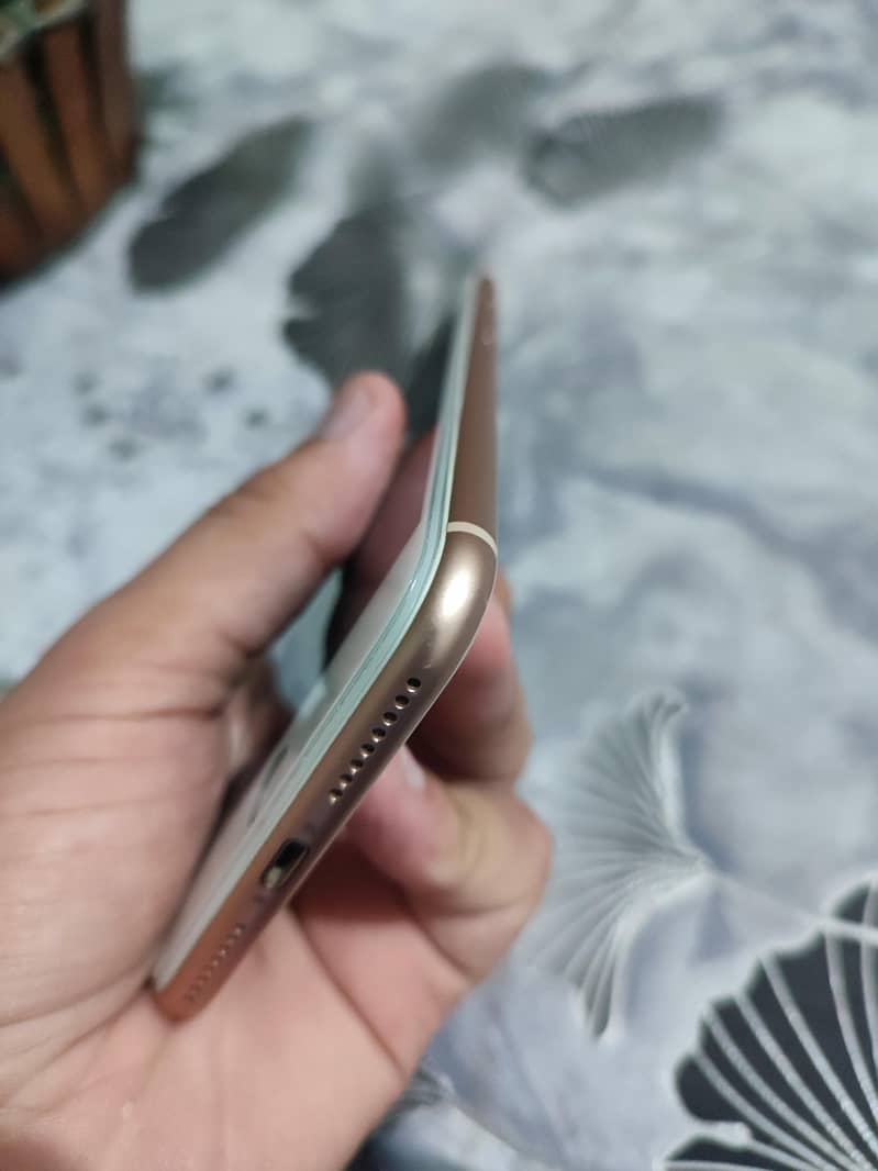 Apple iPhone 8 Plus 3