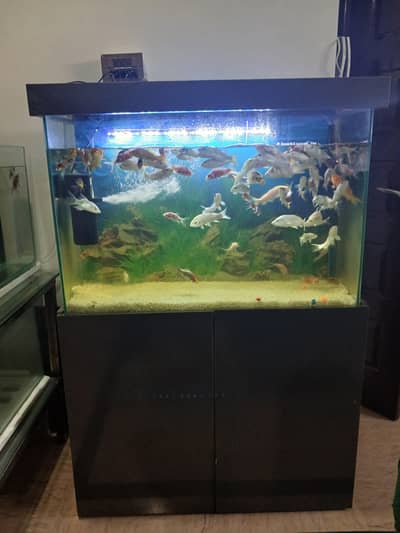 3×24×12 8mm polish with cabinet hydraliu plus bush system auto closing